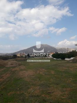 Οικόπεδο 4.500 τ.μ. για πώληση
