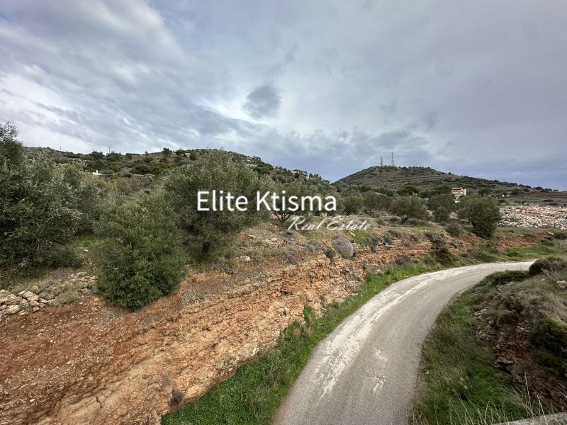 Αγροτεμάχια 9.922 τ.μ. πρός πώληση, Αττική - Υπόλοιπο, Κερατέα