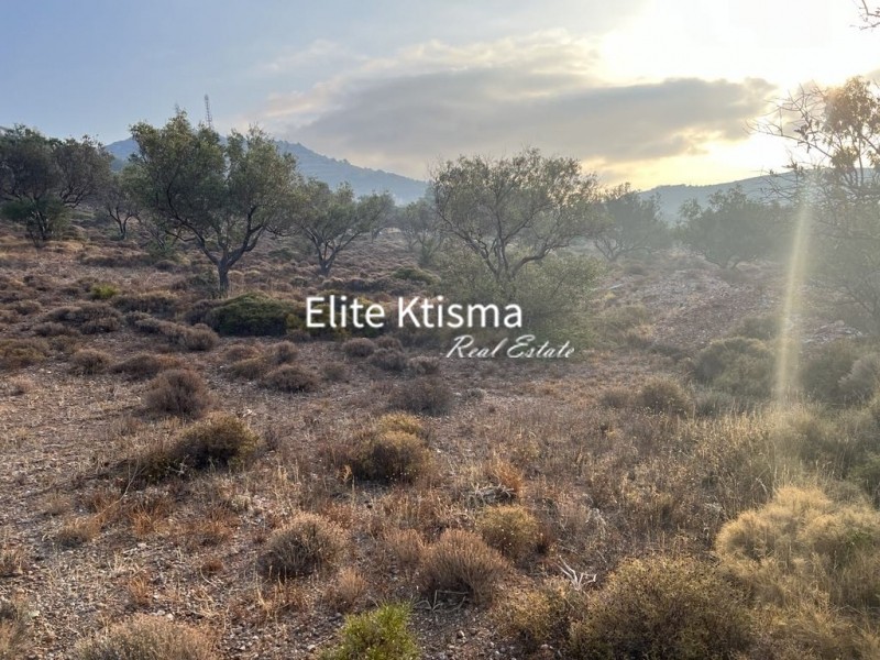 Αγροτεμάχια 9.922 τ.μ. πρός πώληση, Αττική - Υπόλοιπο, Κερατέα