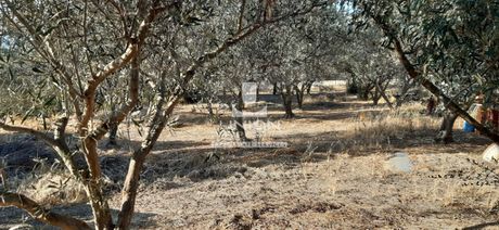 Οικόπεδο 2.034 τ.μ. για πώληση
