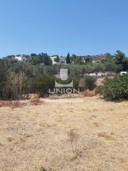 Land plot 903,25sqm for sale-Kalivia Thorikou » Lagonisi