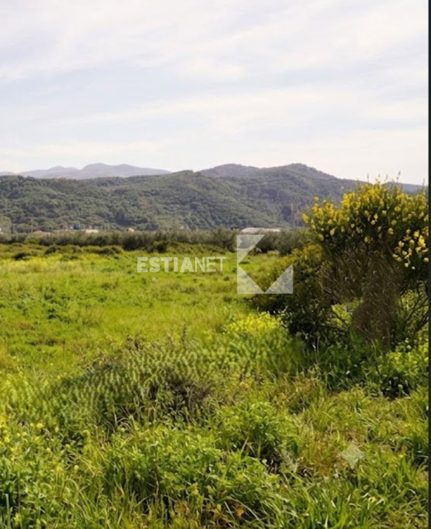 Αγροτεμάχια 7.000 τ.μ. προς πώληση, Κέντρο Επανομής