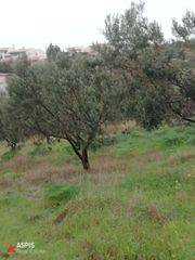 Parcel 8.000 sqm for sale