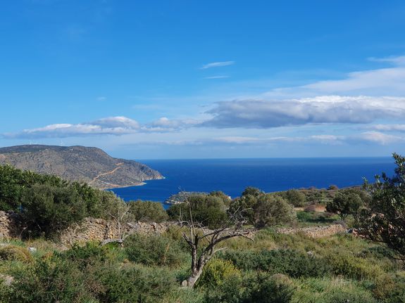 Οικόπεδο 4.004 τ.μ. για πώληση, Ν. Λασιθίου, Άγιος Νικόλαος