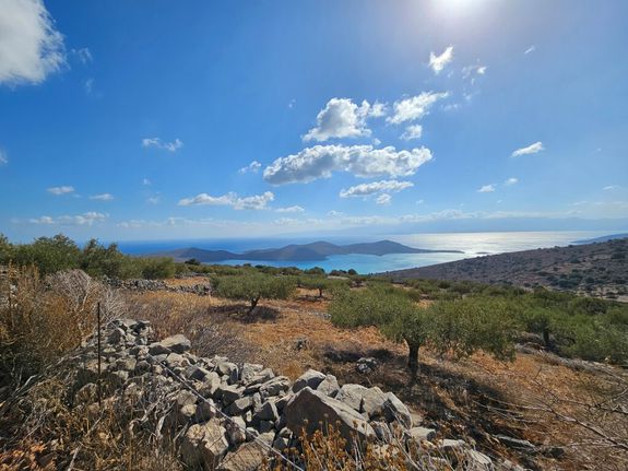 Οικόπεδο 12.178 τ.μ. για πώληση, Ν. Λασιθίου, Άγιος Νικόλαος