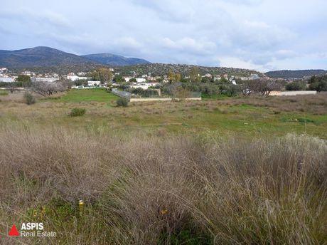 Αγροτεμάχια 2.500 τ.μ. για ενοικίαση