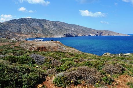 Οικόπεδο 44.000 τ.μ. για πώληση