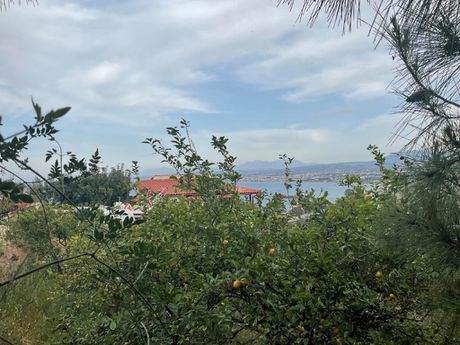 Οικόπεδο 3.750 τ.μ. για πώληση