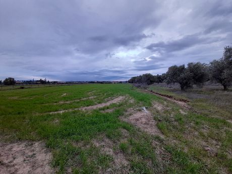 Οικόπεδο 4.312 τ.μ. για πώληση