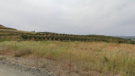 Οικόπεδο 391.200 τ.μ. για πώληση