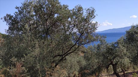 Οικόπεδο 12.750 τ.μ. για πώληση