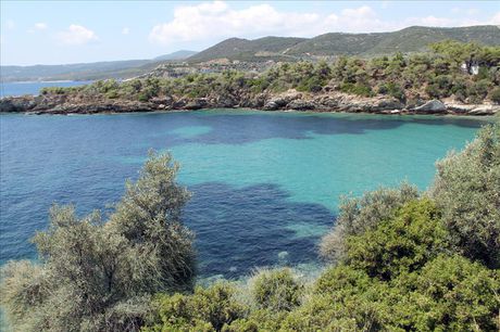 Οικόπεδο 16.500 τ.μ. για πώληση