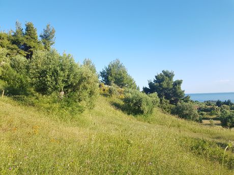 Οικόπεδο 4.500 τ.μ. για πώληση