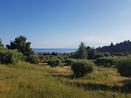Οικόπεδο 4.500 τ.μ. για πώληση