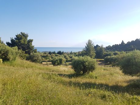 Οικόπεδο 4.500 τ.μ. για πώληση