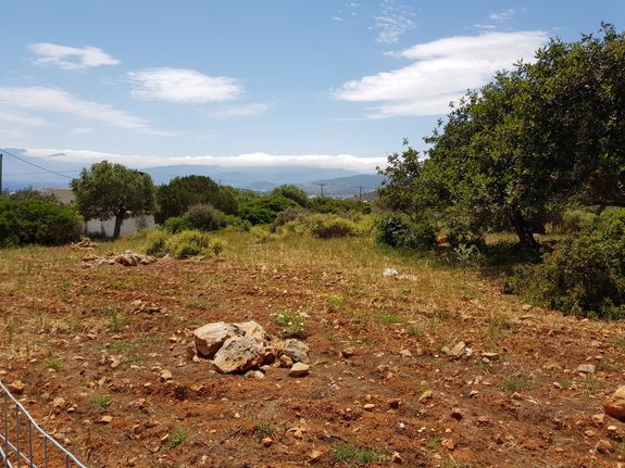 Οικόπεδο 4.542 τ.μ. για πώληση, Ν. Λασιθίου, Άγιος Νικόλαος