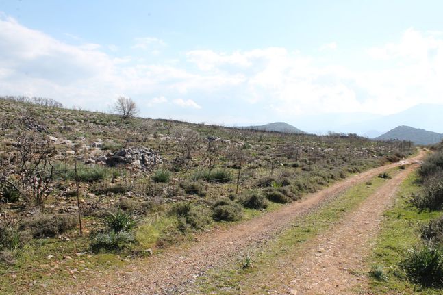 Οικόπεδο 18.865 τ.μ. για πώληση, Ν. Λασιθίου, Άγιος Νικόλαος