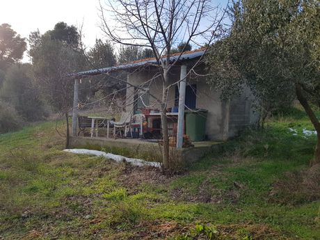 Οικόπεδο 4.000 τ.μ. για πώληση