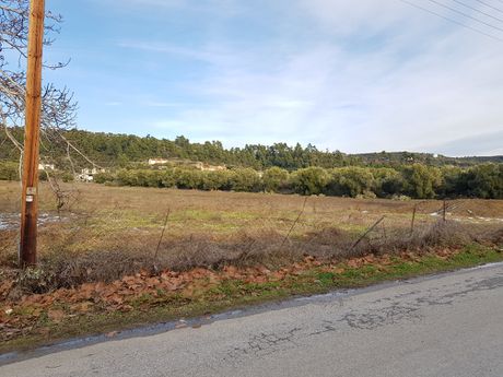 Οικόπεδο 4.500 τ.μ. για πώληση
