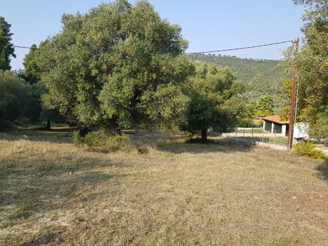 Οικόπεδο 8.000 τ.μ. για πώληση