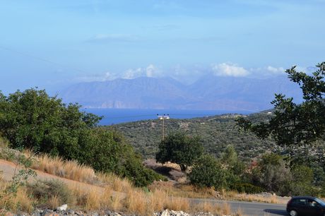 Οικόπεδο 12.500 τ.μ. για πώληση