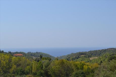 Οικόπεδο 7.000 τ.μ. για πώληση