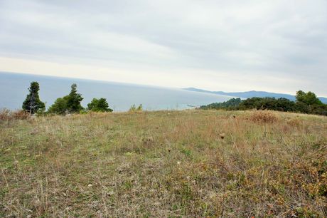 Οικόπεδο 55.000 τ.μ. για πώληση