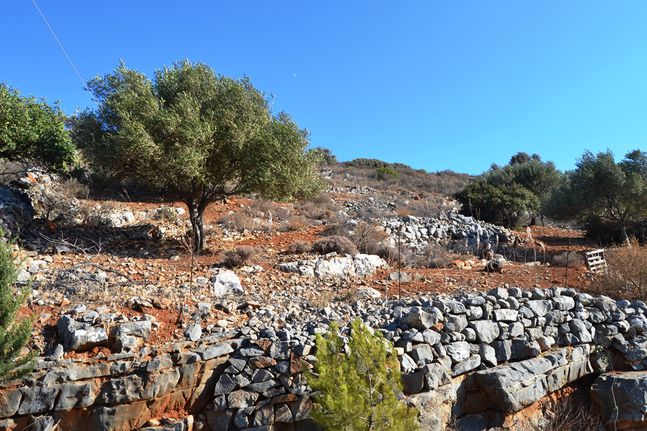 Οικόπεδο 4.670 τ.μ. για πώληση, Ν. Λασιθίου, Άγιος Νικόλαος