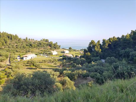 Οικόπεδο 4.300 τ.μ. για πώληση