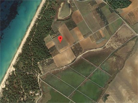 Οικόπεδο 19.900 τ.μ. για πώληση