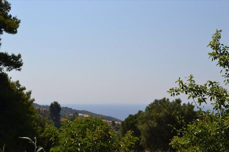 Οικόπεδο 3.419 τ.μ. για πώληση