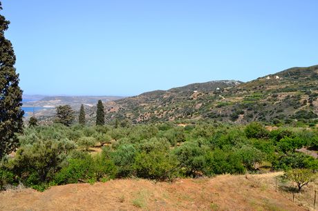 Οικόπεδο 2.700 τ.μ. για πώληση