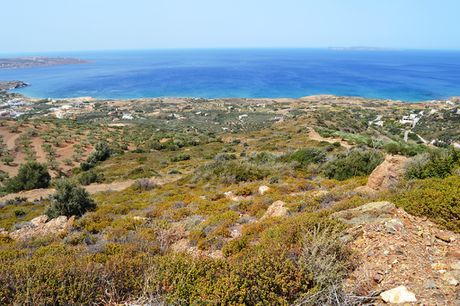 Οικόπεδο 9.000 τ.μ. για πώληση