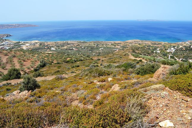 Οικόπεδο 9.000 τ.μ. για πώληση, Ν. Λασιθίου, Σητεία