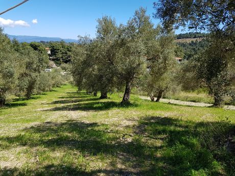 Οικόπεδο 2.002 τ.μ. για πώληση