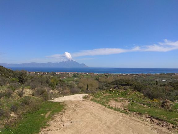 Land plot 13.500 sqm for sale, Chalkidiki, Toroni