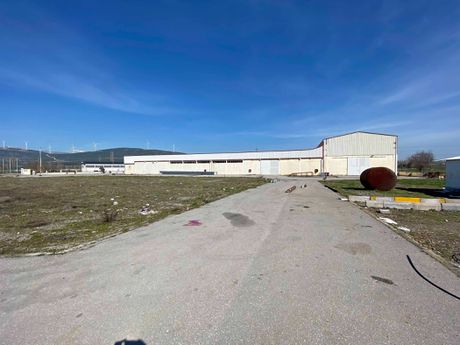 Βιομηχανικός χώρος 4.300τ.μ. για ενοικίαση-Θήβα » Ελαιώνας