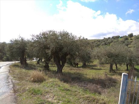 Οικόπεδο 3.450 τ.μ. για πώληση