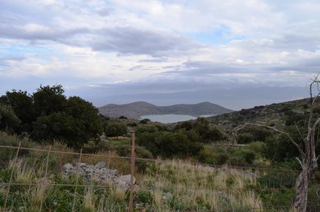 Οικόπεδο 1.500 τ.μ. για πώληση