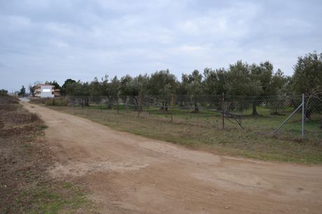 Οικόπεδο 2.700 τ.μ. για πώληση