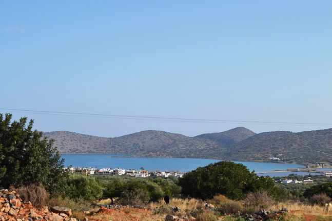 Οικόπεδο 5.300 τ.μ. για πώληση, Ν. Λασιθίου, Άγιος Νικόλαος