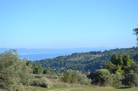 Οικόπεδο 11.738 τ.μ. για πώληση
