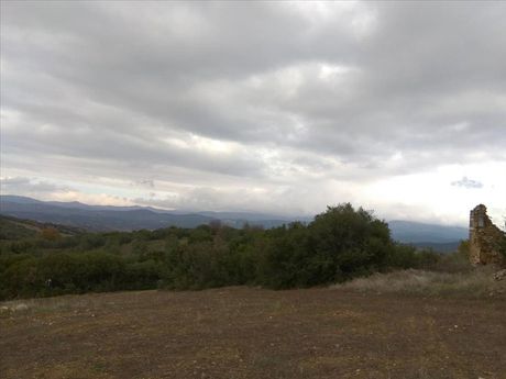 Οικόπεδο 13.000 τ.μ. για πώληση