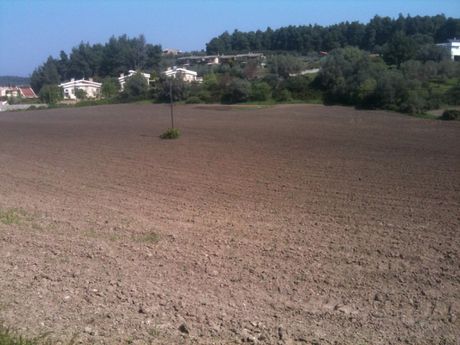 Οικόπεδο 4.100 τ.μ. για πώληση