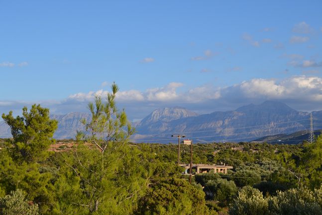 Οικόπεδο 4.600 τ.μ. για πώληση, Ν. Λασιθίου, Άγιος Νικόλαος