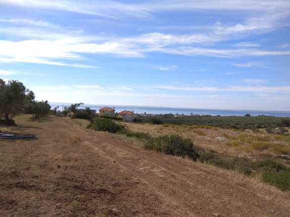 Land plot 40.000 sqm for sale, Chalkidiki, Poligiros