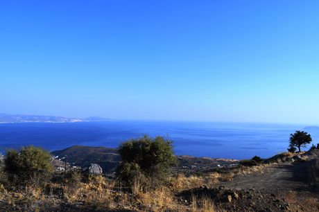 Οικόπεδο 60.000 τ.μ. για πώληση