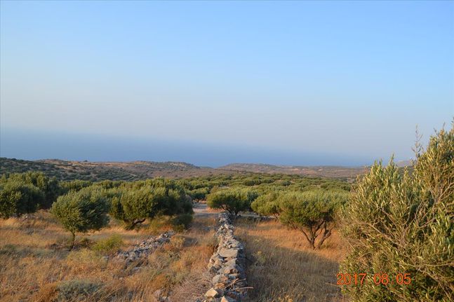 Οικόπεδο 11.000 τ.μ. για πώληση, Ν. Λασιθίου, Άγιος Νικόλαος