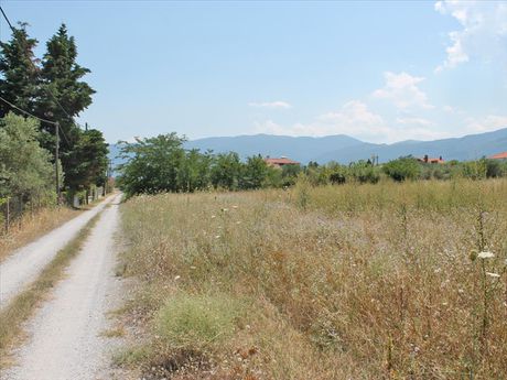 Οικόπεδο 5.000 τ.μ. για πώληση