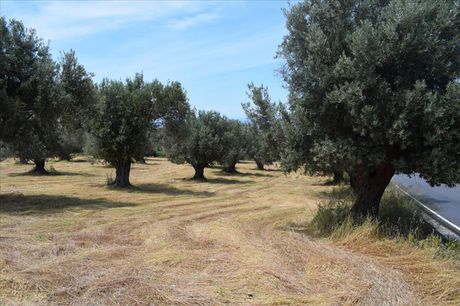 Οικόπεδο 5.400 τ.μ. για πώληση